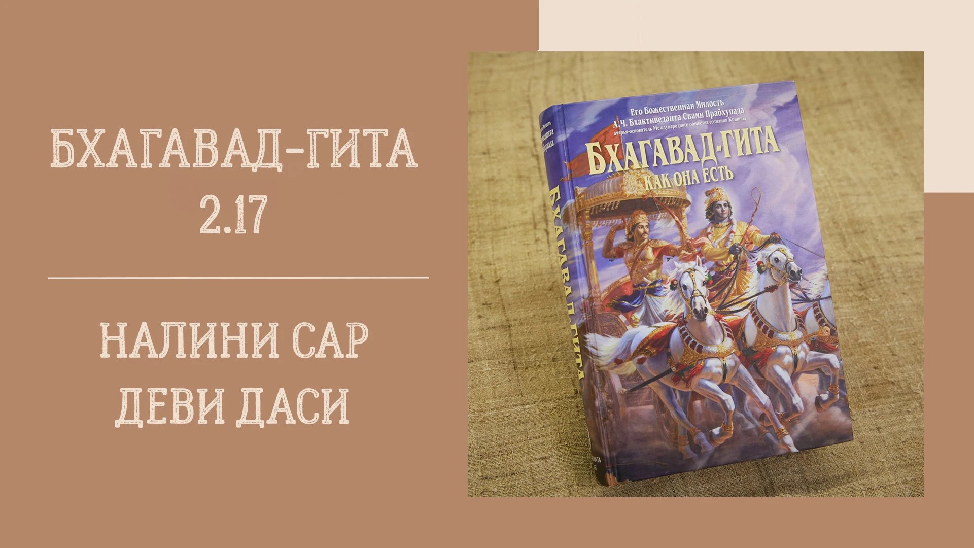 📖 Вечерняя лекция