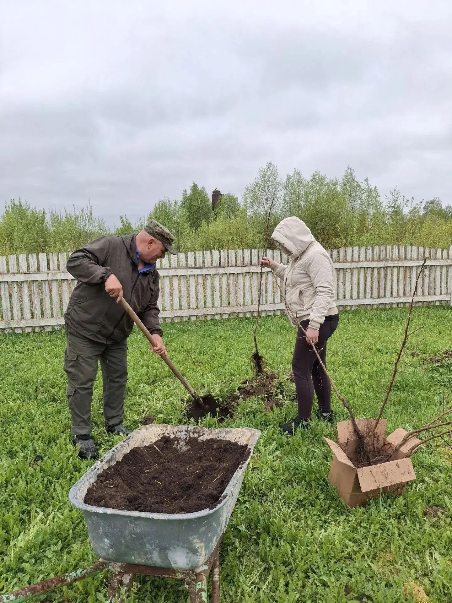 🌿Сад Победы  🏡🌳Днепровский дом-интернат для престарелых и инвалидов принял участие во всероссийской 