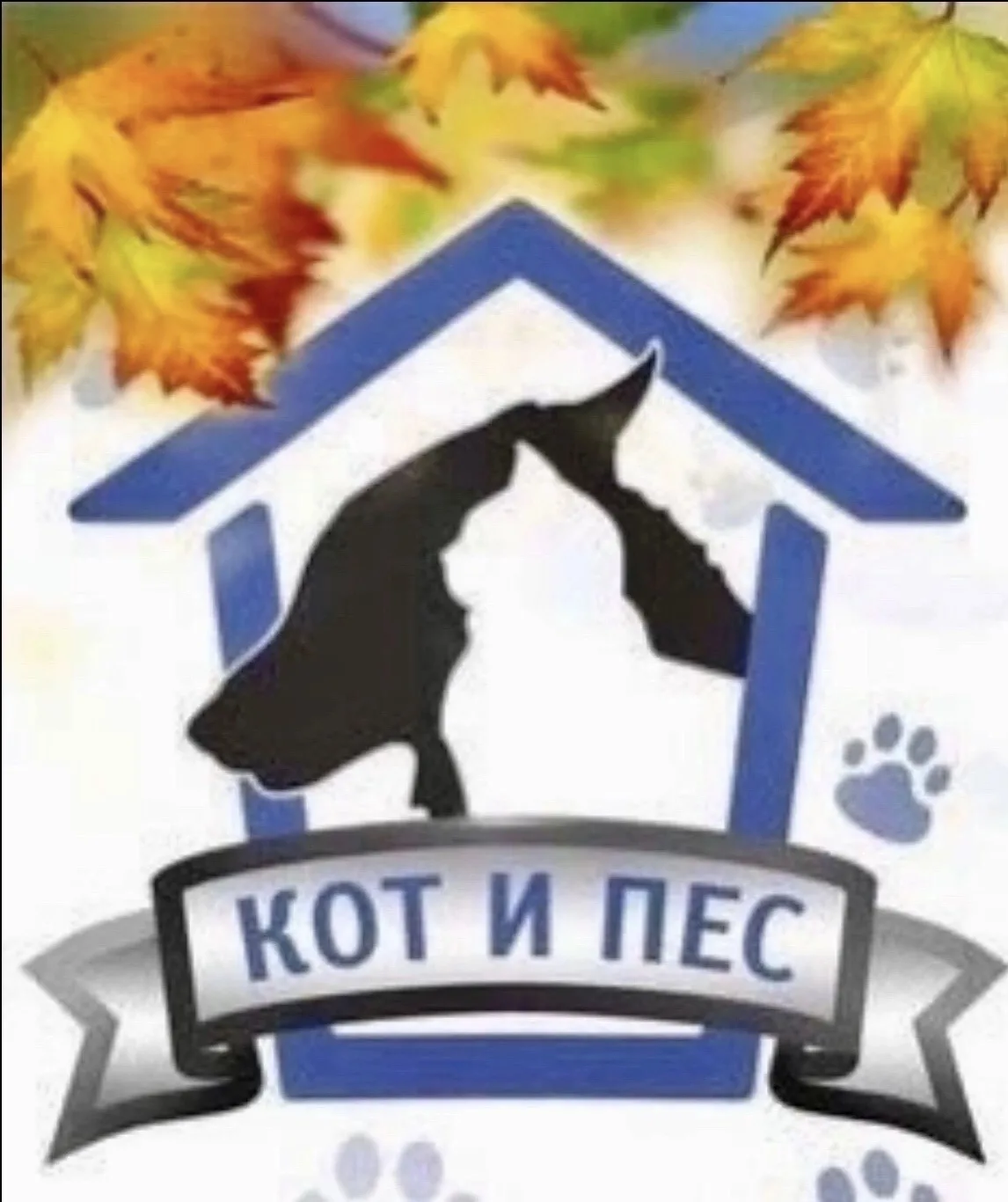 Дорогие ученики, родители и учителя.