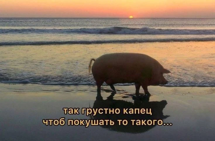 Вы знаете, что сегодня четверг??
Я была уверена, что пятница.
Ещё думала — ого, как это мы богатства