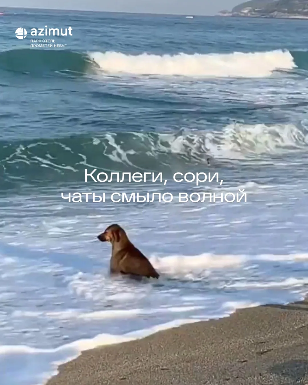 Разбираем аватарки в отпуск и пусть все дедлайны подождут 🌴😏