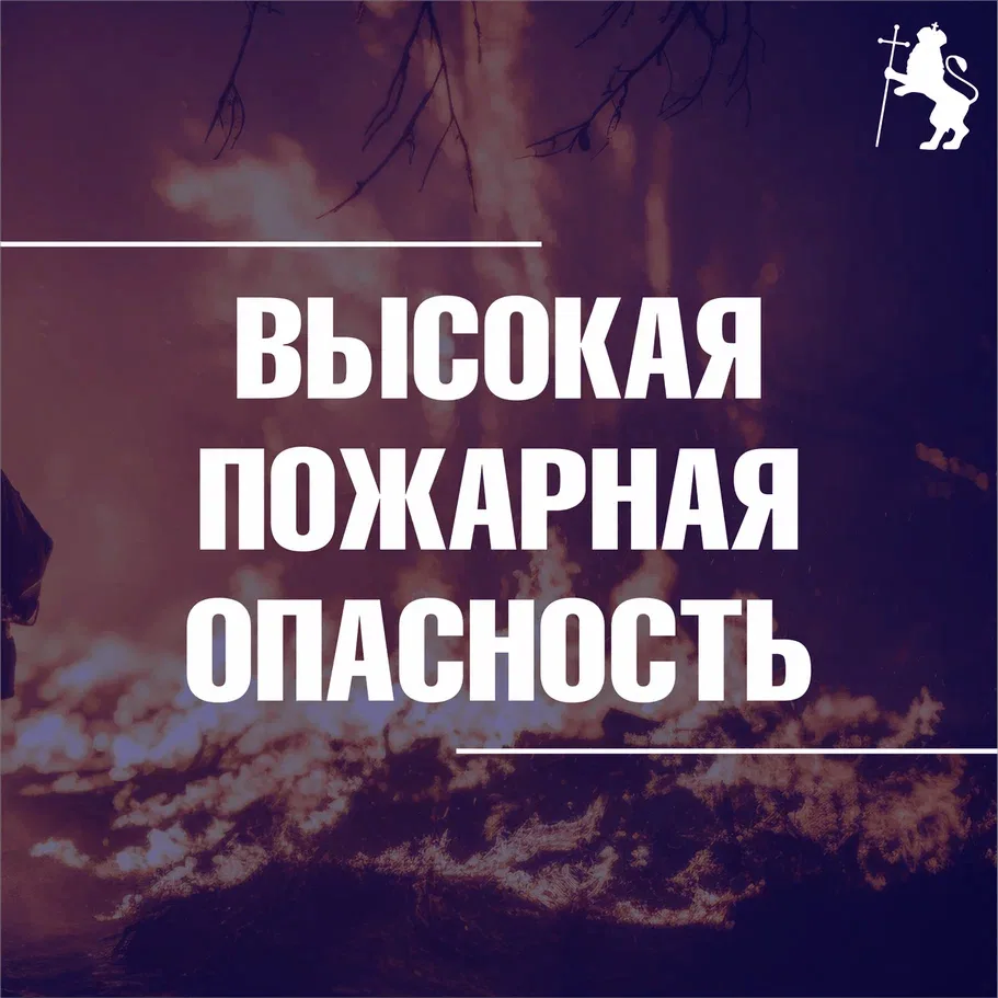 Высокая пожарная опасность во Владимирской области  Управление гражданской защиты города Владимира и