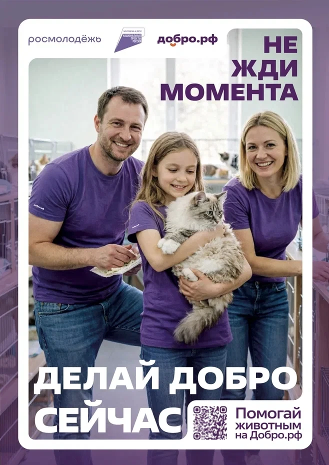 Присоединяйтесь к Добро.рф — платформе добрых дел 💜