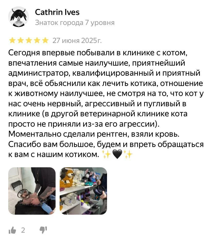 🩵 Знаем как вылечить вашего котика