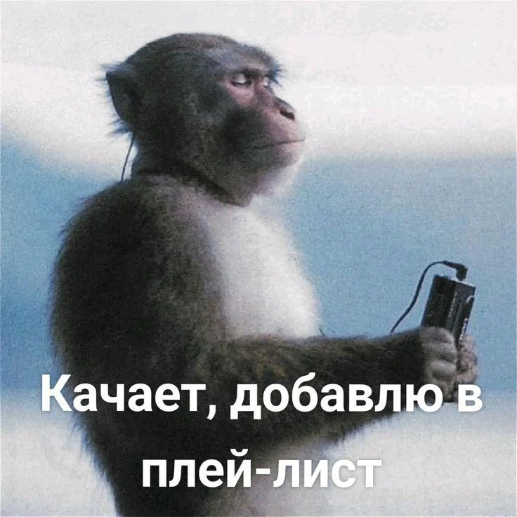 С 1 сентября в школах вместо звонков будет играть музыка🤘