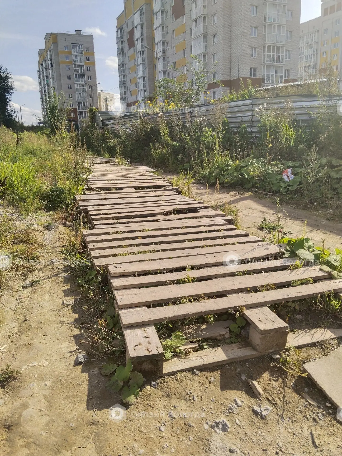 Здравствуйте.