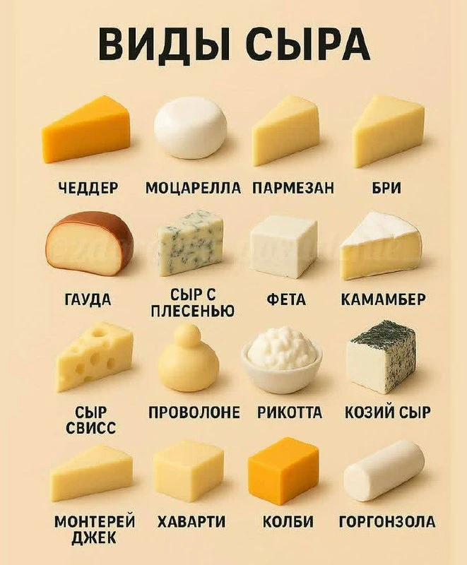 ИНТЕРЕСНЫЕ ФАКТЫ 🙈