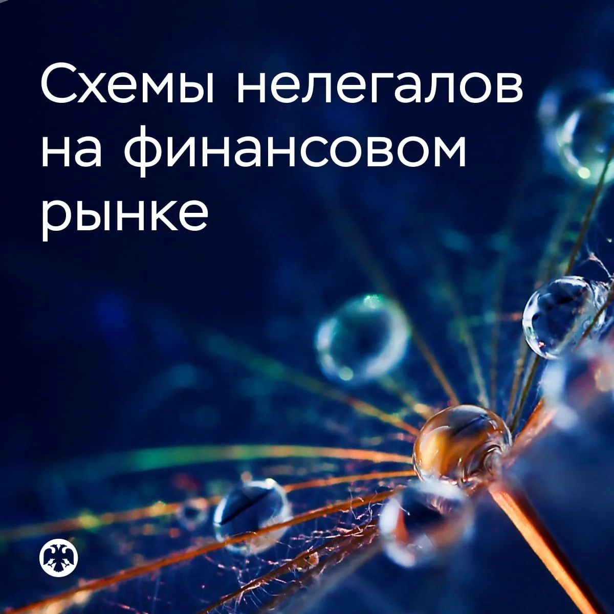 ⚠️ Как нелегалы обманывали людей в первом полугодии