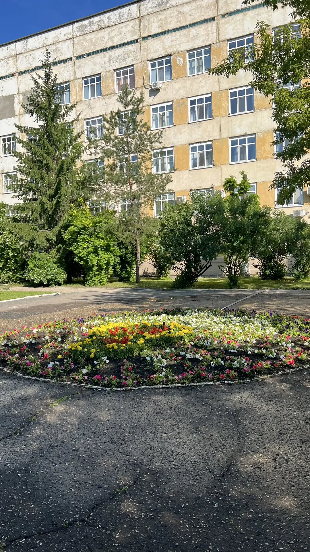 🌼🌿 На территории нашей 8-й городской больницы зацвели цветы! 🌷 
Мы высадили целую палитру ярких р