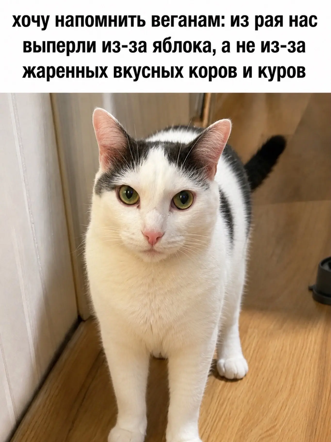 Ни на что не намекаю.. но сегодня суббота, хорошая погода) просто будьте бдительны 😂🤍