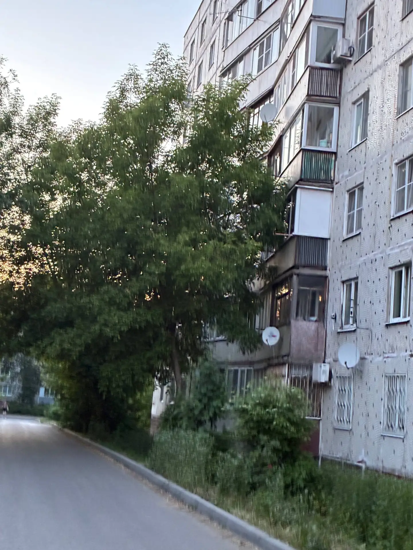Ногинск улица юбилейная 22 спилите деревья сзади дома, люди из за этих деревьев ничего не видят.

НЕ