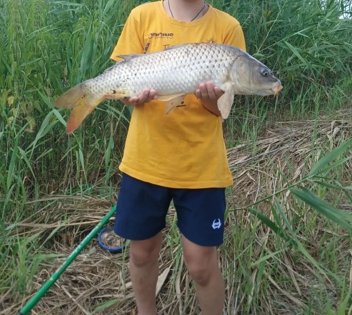 🎣 Улов от подписчика