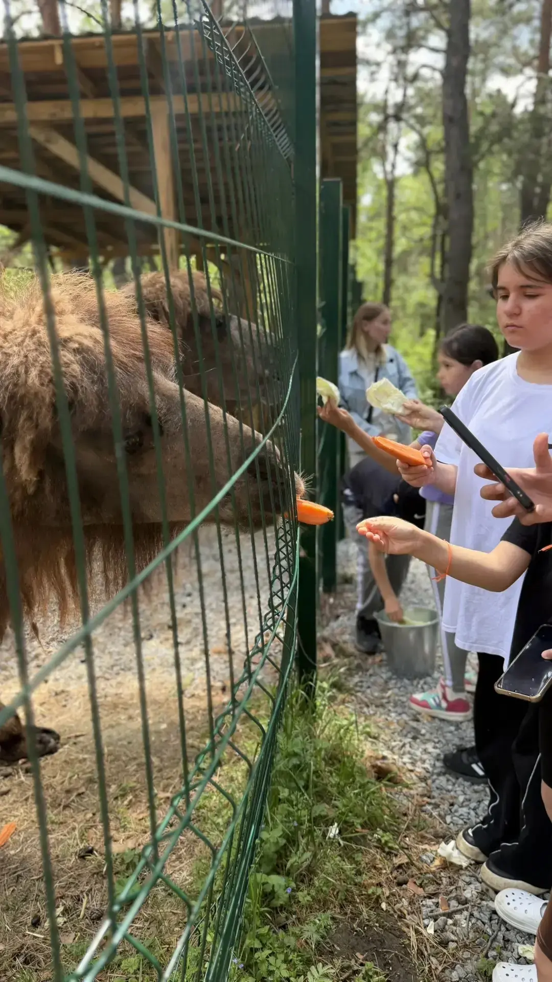 День, полный нежности и пушистого счастья! 🦙💖

Сегодня ребята из нашего летнего лагеря «Остров дет
