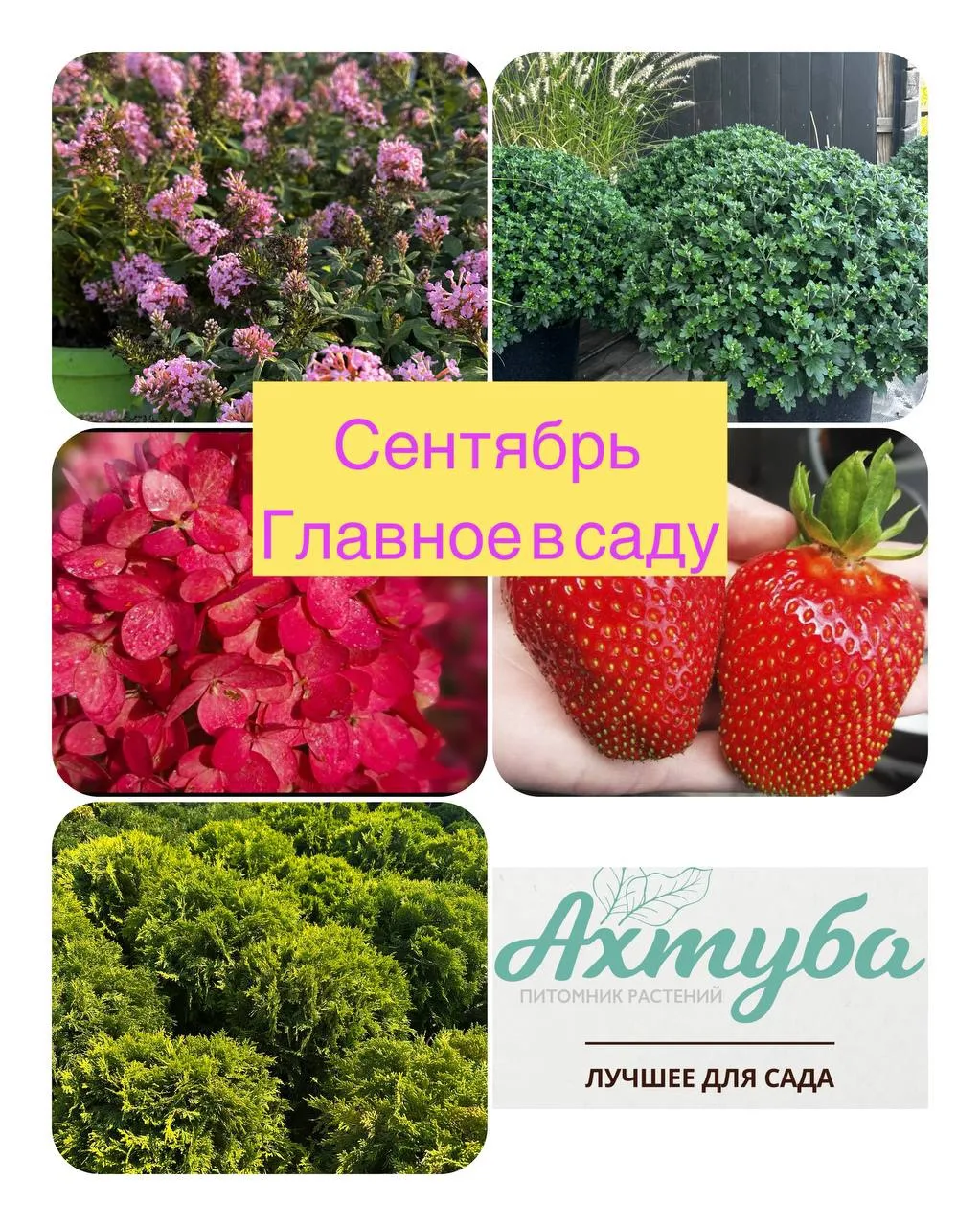 ☑️Главное :