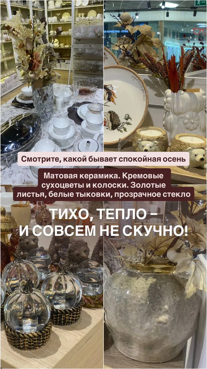 🎃🍁 Клён, рябина, тыква — красиво! Но и их мы размещаем по секторам: это яркая гамма.