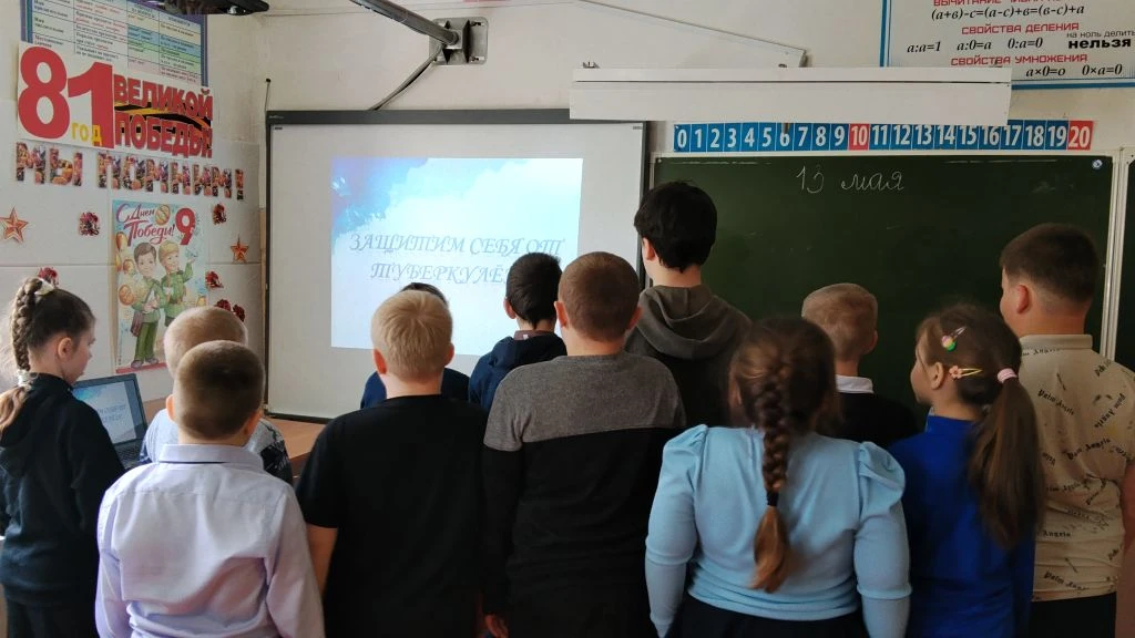 Тематическая беседа " О чем рассказала белая ромашка".