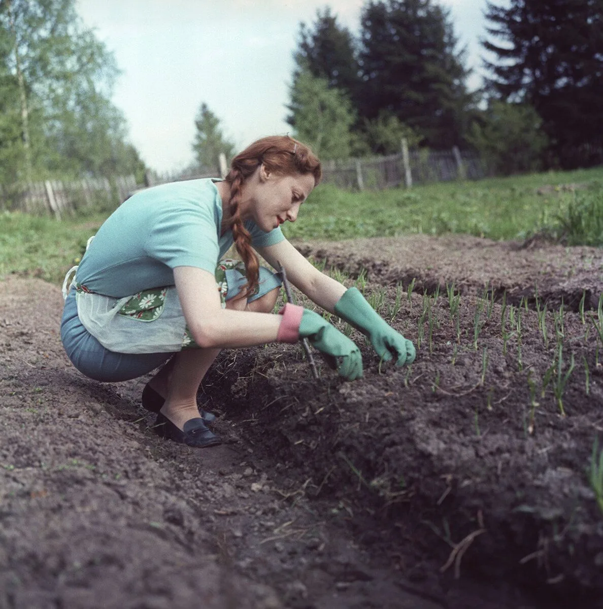#история_ИЖС

🌱 1960–1980: от огорода к даче — расцвет коллективного садоводства

Продолжаем рубрик