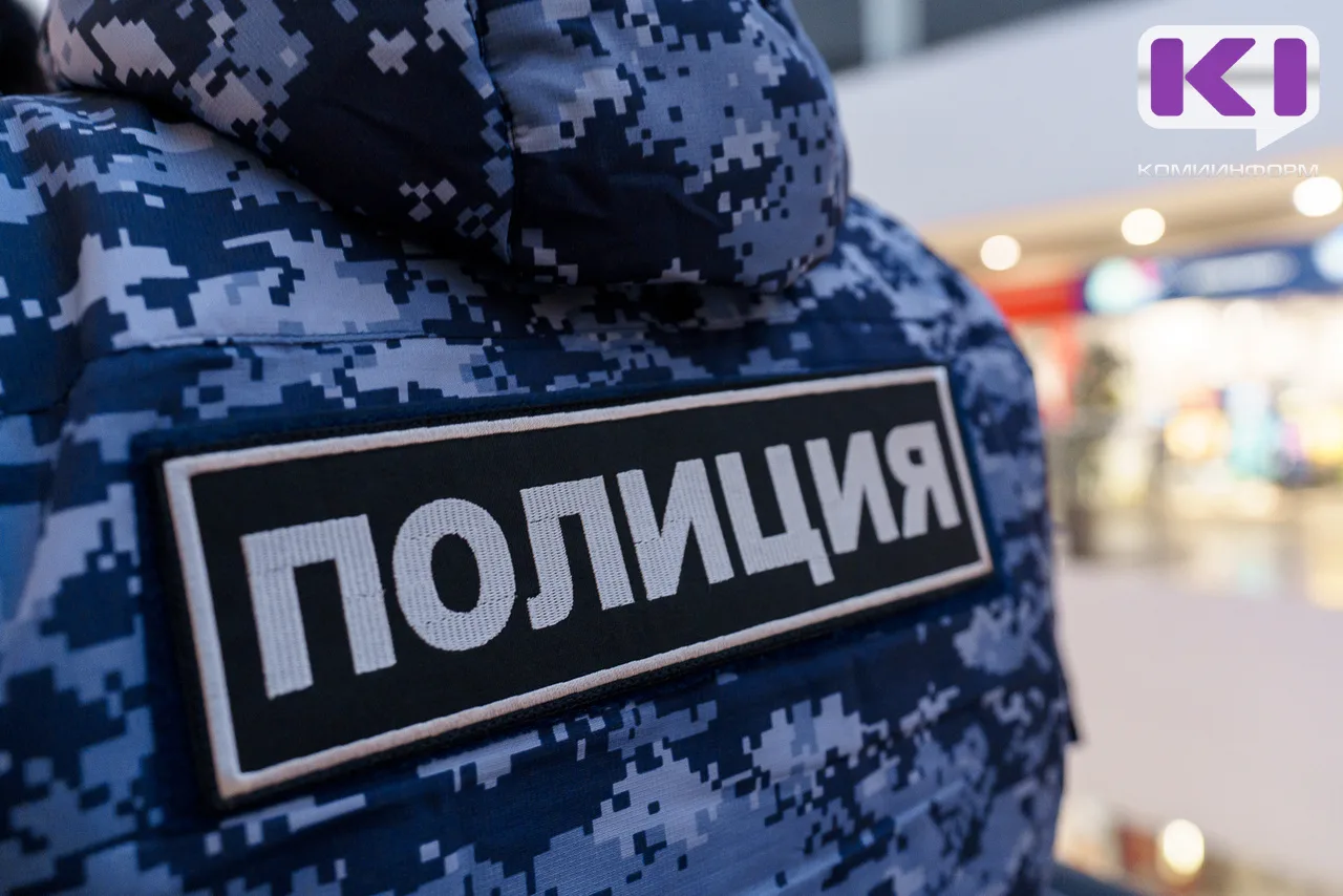 Перед судом предстанет житель Инты по обвинению в применении насилия в отношении сотруд...