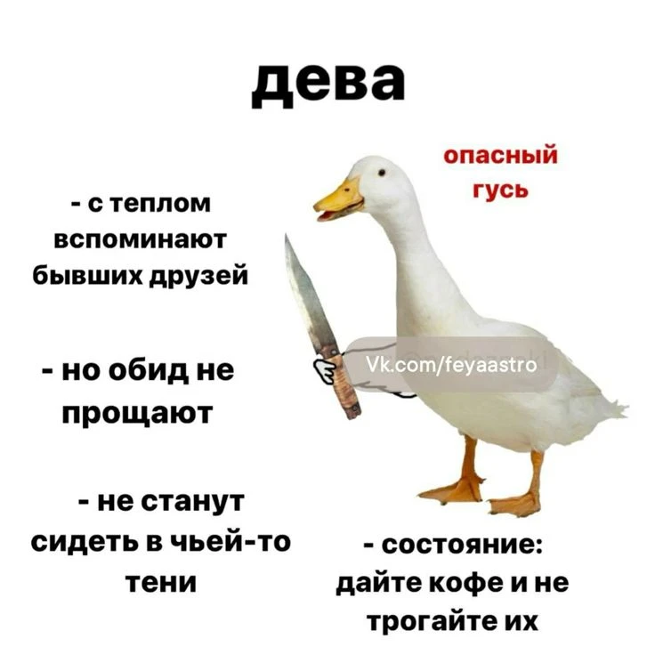 Девы 😁