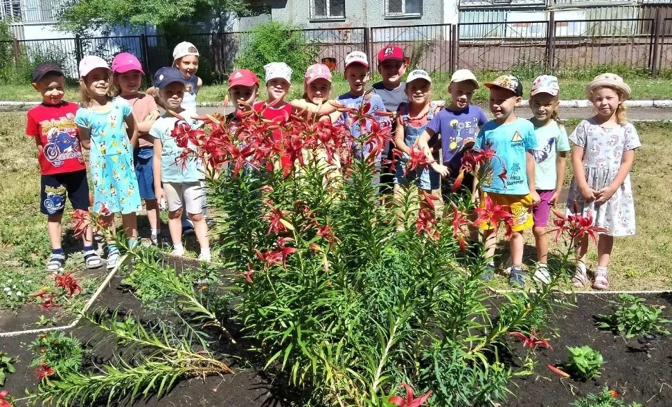 ✨Недавно воспитанники детского сада совершили увлекательное путешествие в мир прекрасных лилий! 
📣Р
