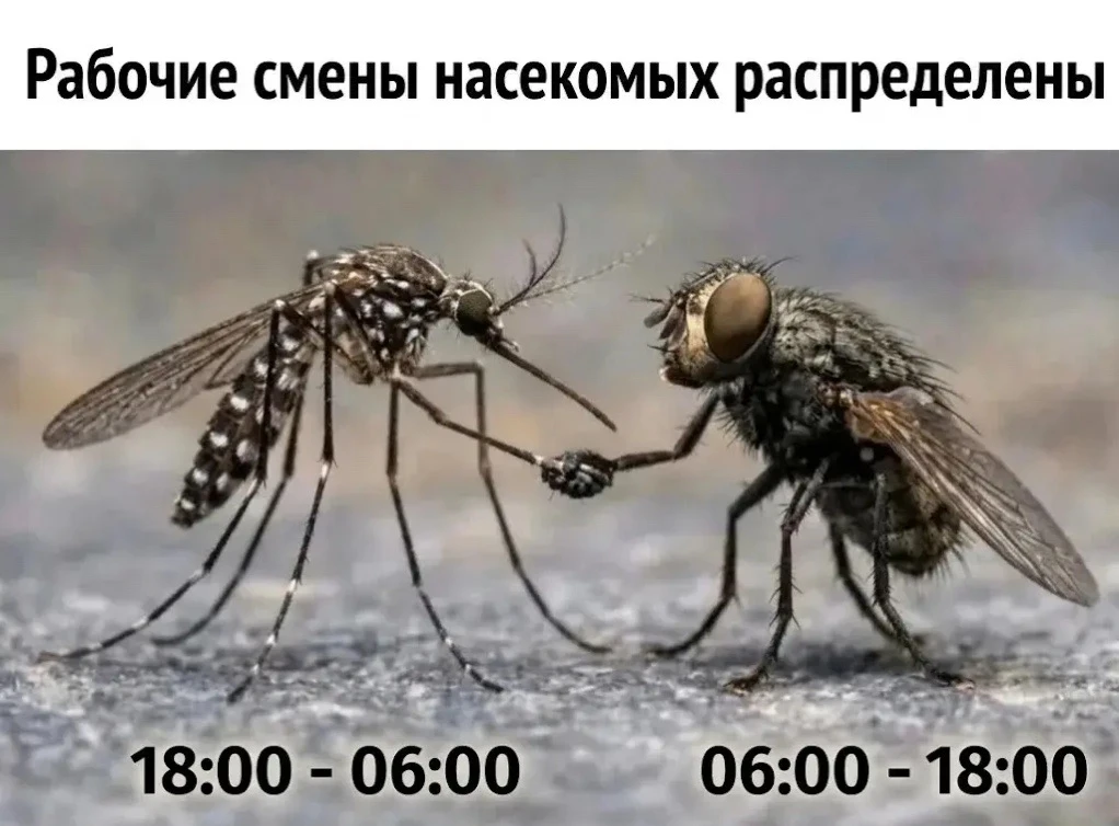Каналы для геймеров
