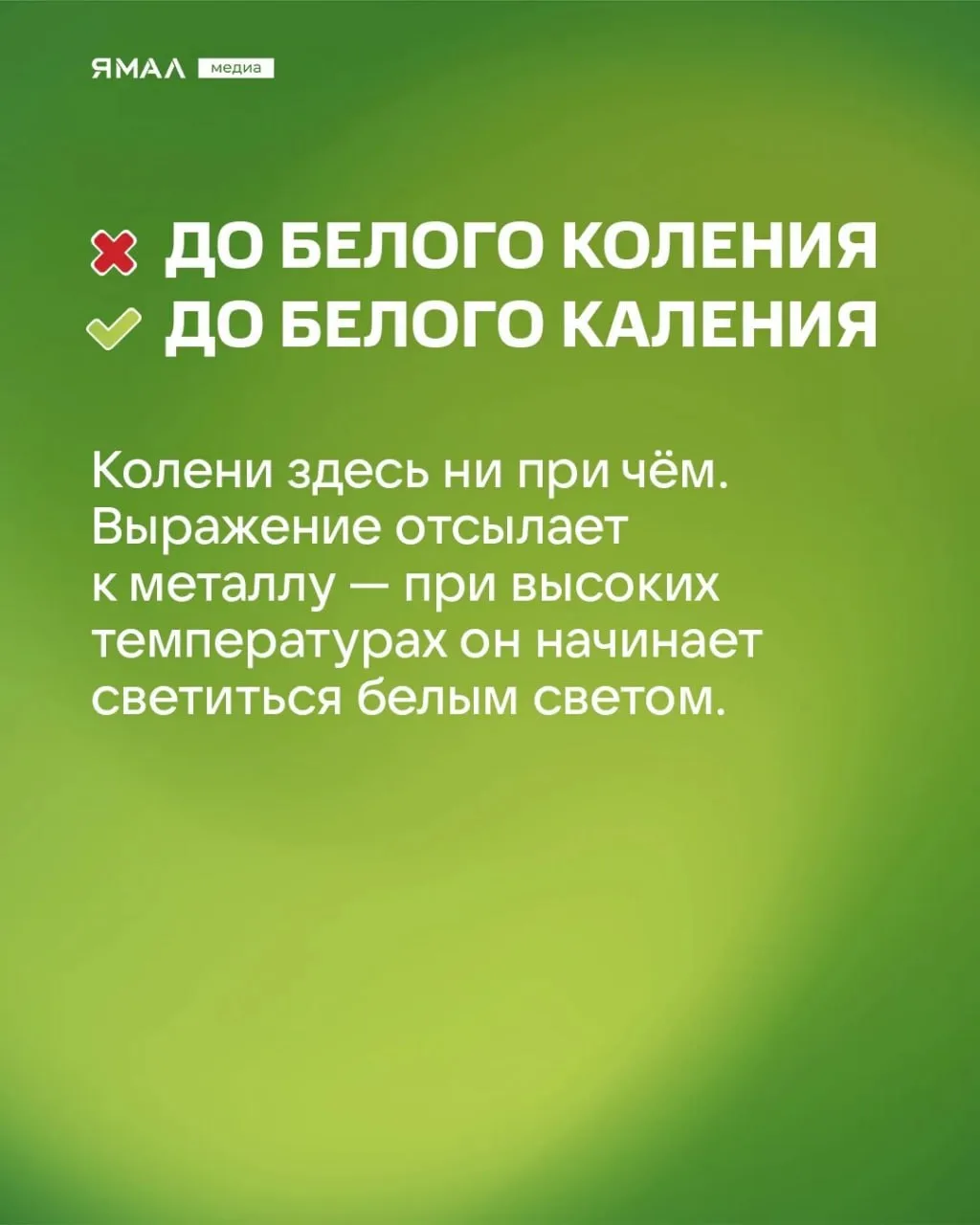 🫣 «Скрипя сердцем, он довёл себя до белого коления…»  Мы знаем, что вы говорите хотя бы одну из этих