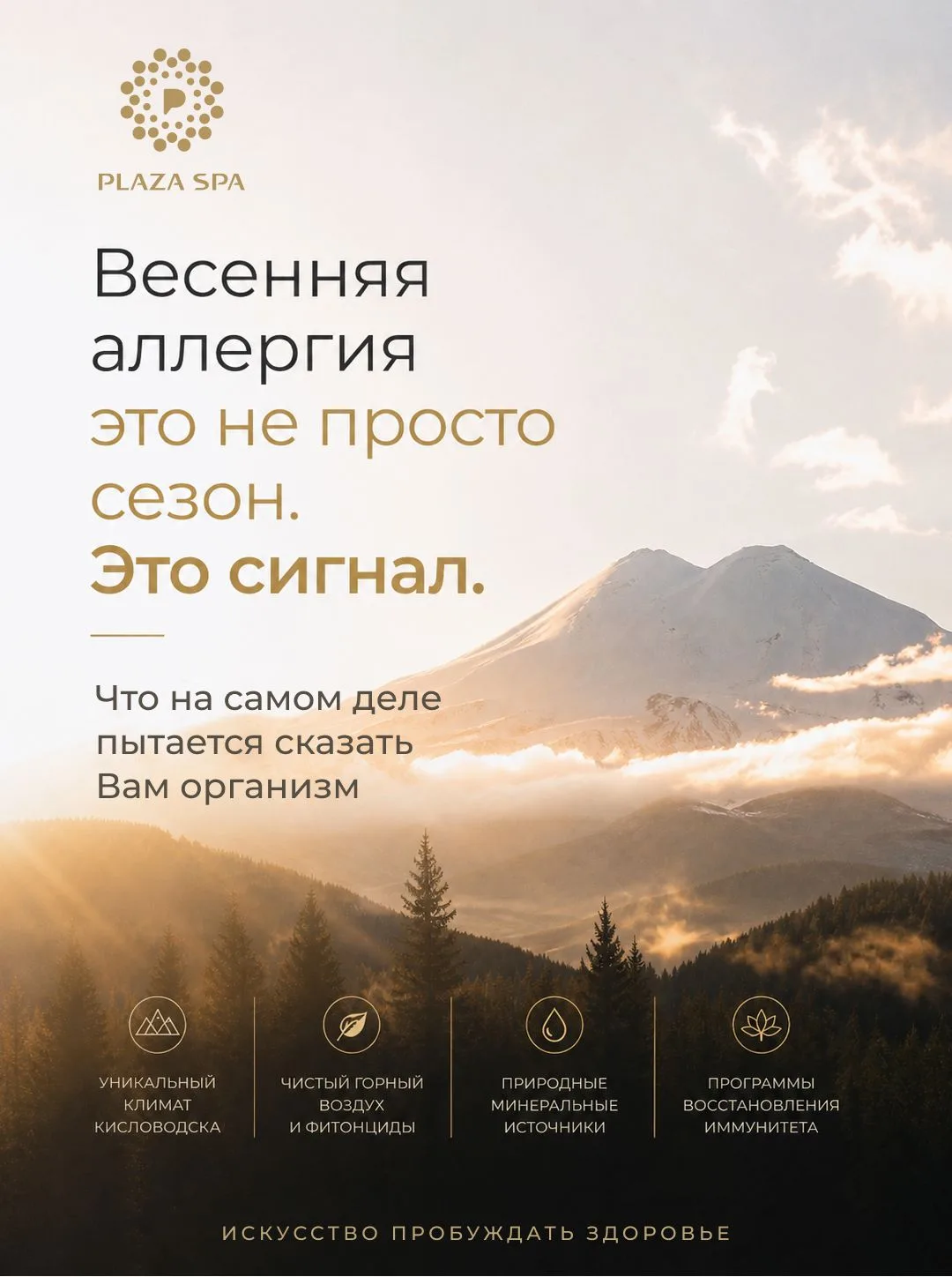 Весенне-летний сезон для многих – это время, когда привычный ритм начинает давать сбои 🌿