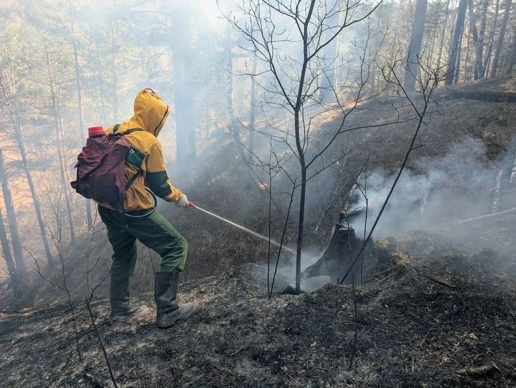📢На зелёном фронте️ 
 
⚡️Пожароопасный период в разгаре, и с этого фланга фронта летят печальные св