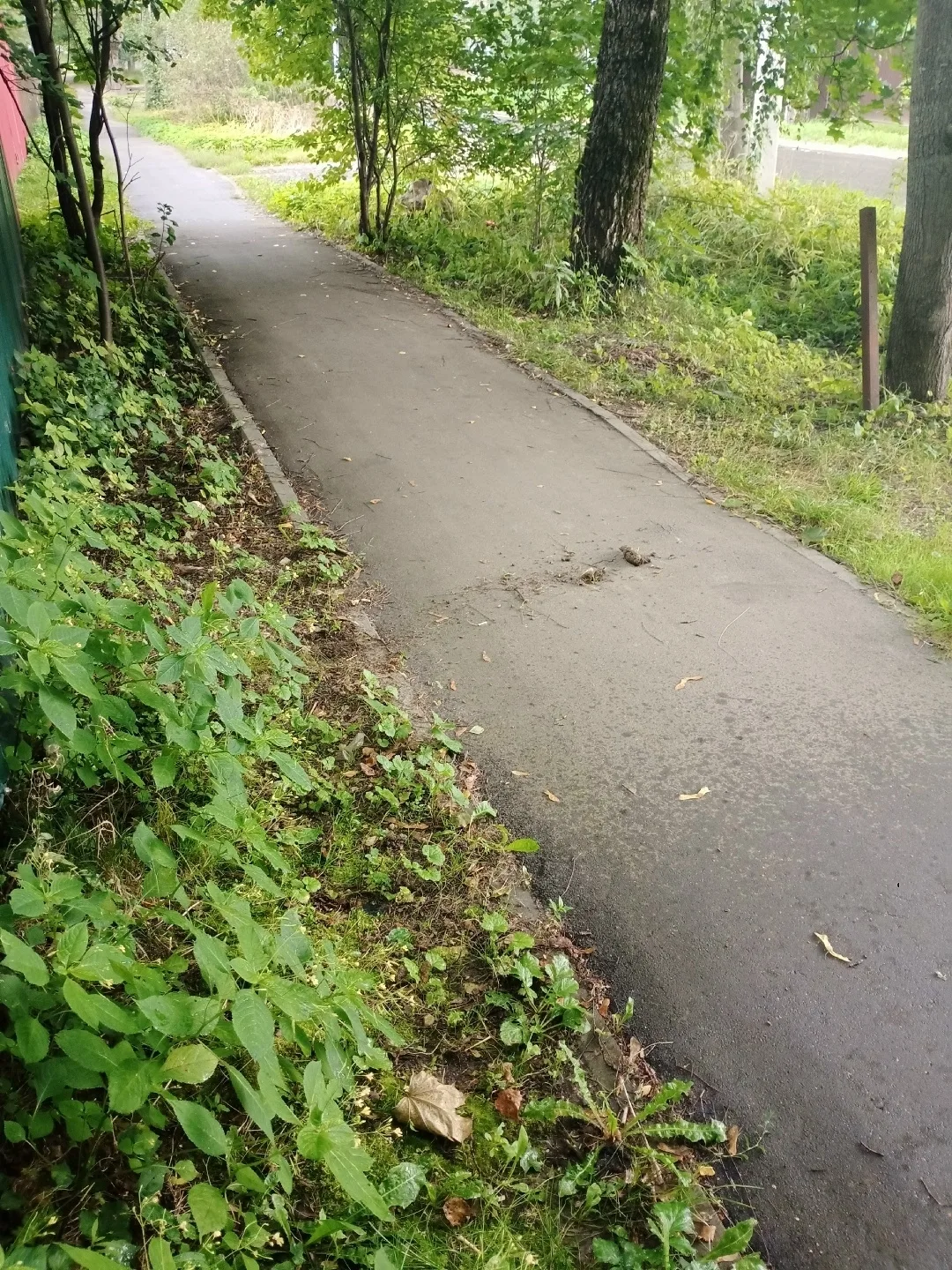 Салтыковка, улица Октябрьская. Каждый день одно и то же — вместо тротуара минное поле! ...