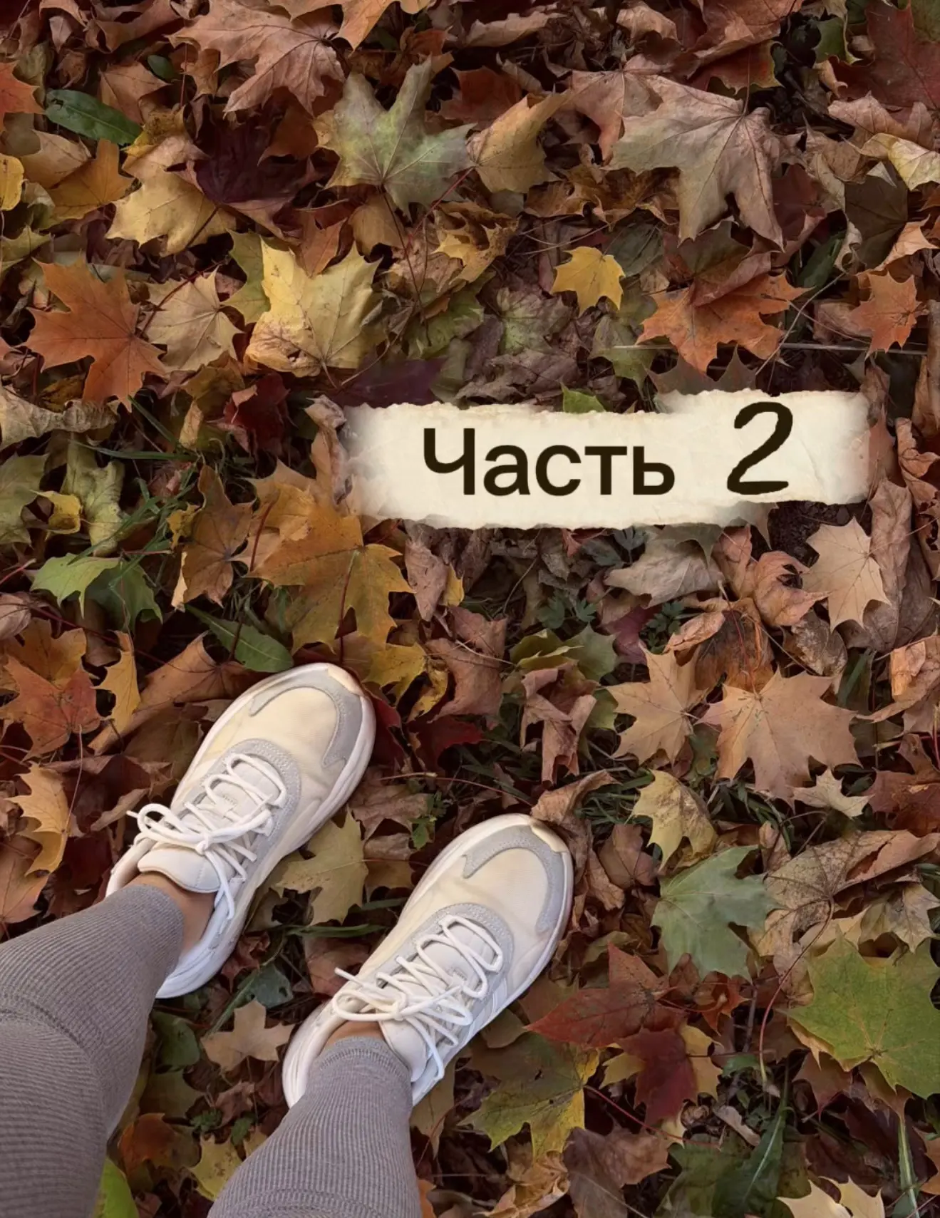 Жизнь, которую я не планировала. Часть 2.