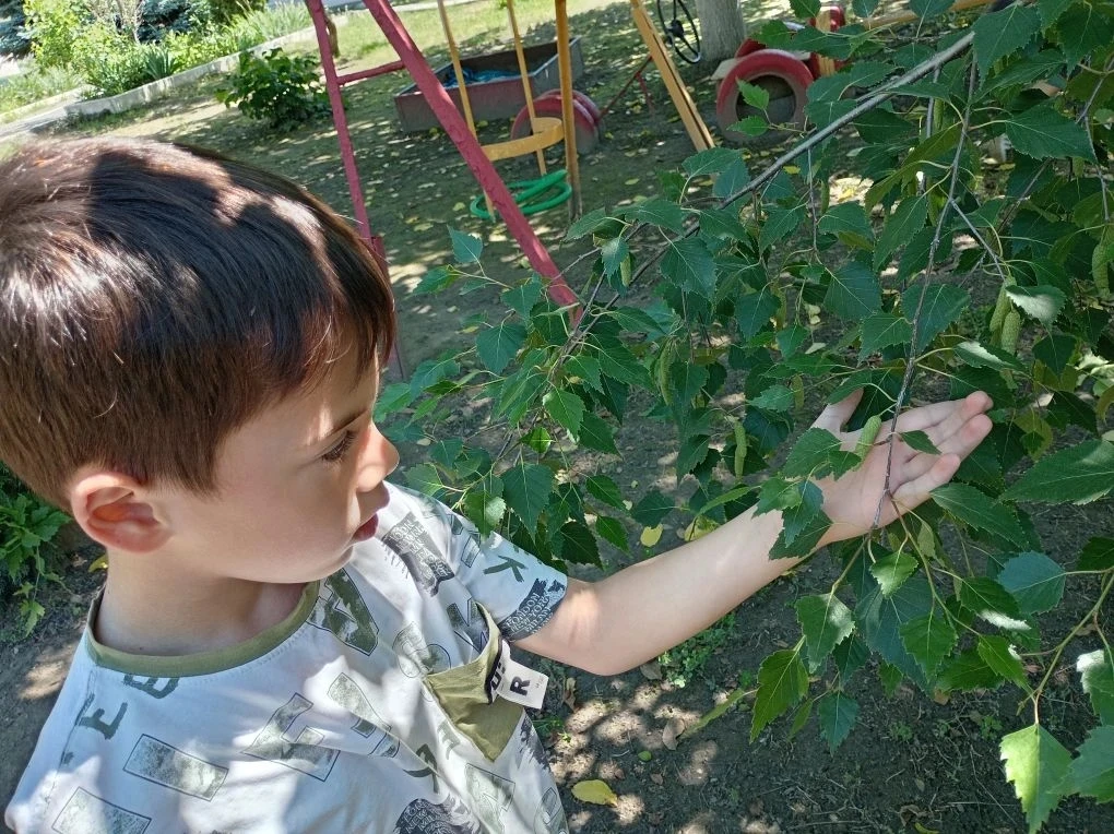 Полезно, весело и увлекательно проводим это лето! 🌞🌻