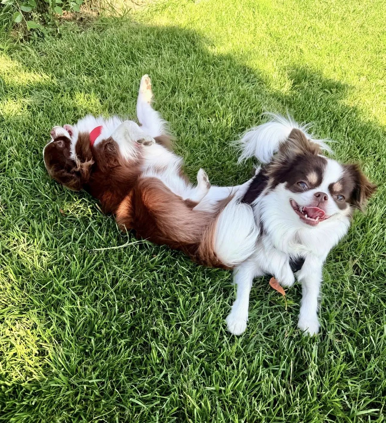 🐾🤗☺️
-Почему у тебя так мало друзей?
-Потому что я дружу только с настоящими!