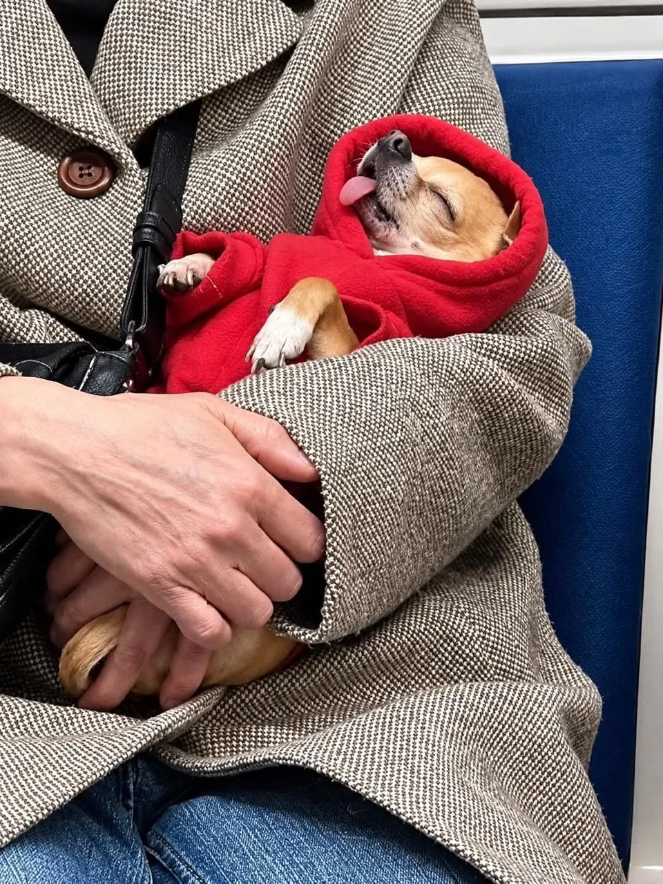 ⚡️Самого беззаботного пассажира заметили в столичной подземке