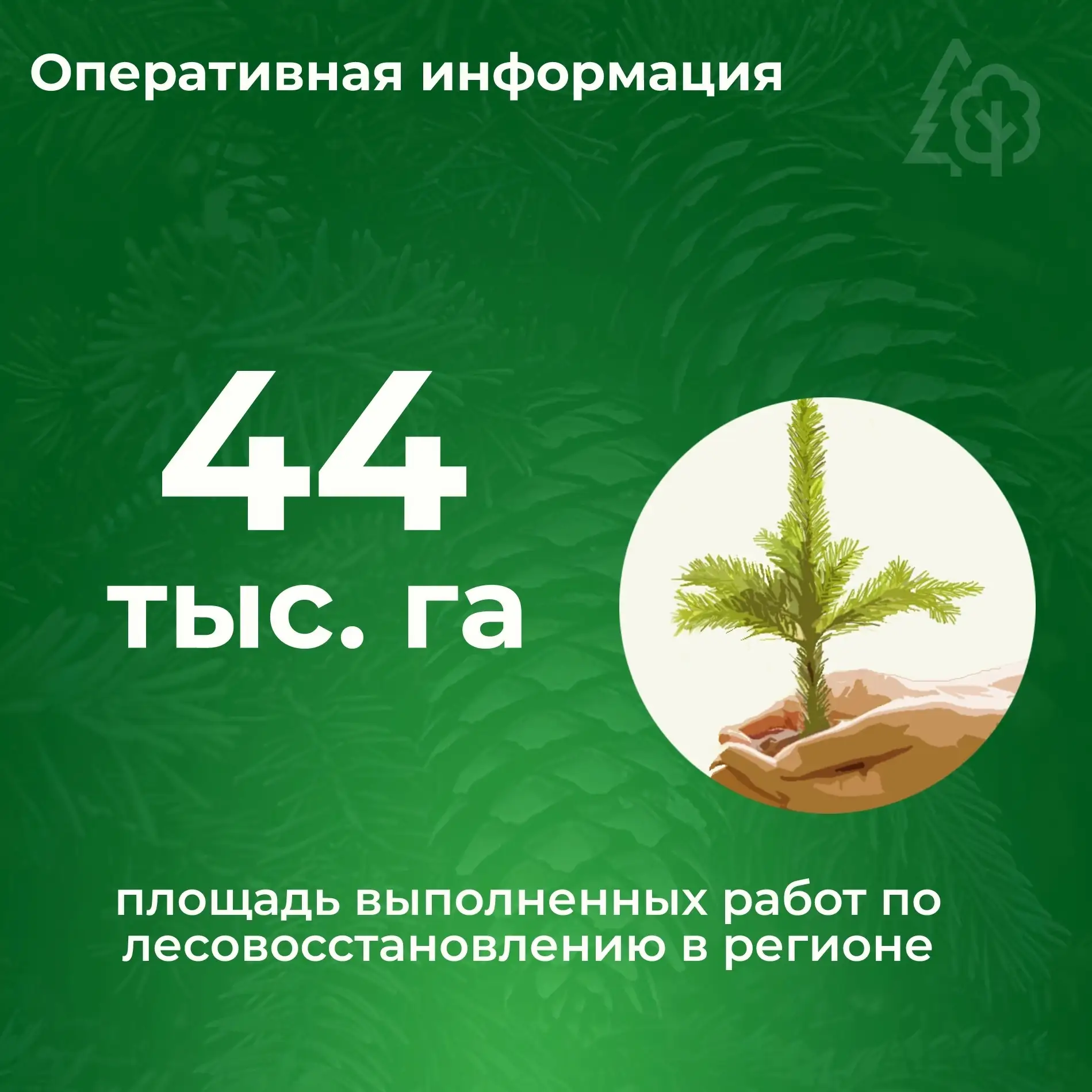 🌱ЛЕСОВОССТАНОВЛЕНИЕ В ЦИФРАХ