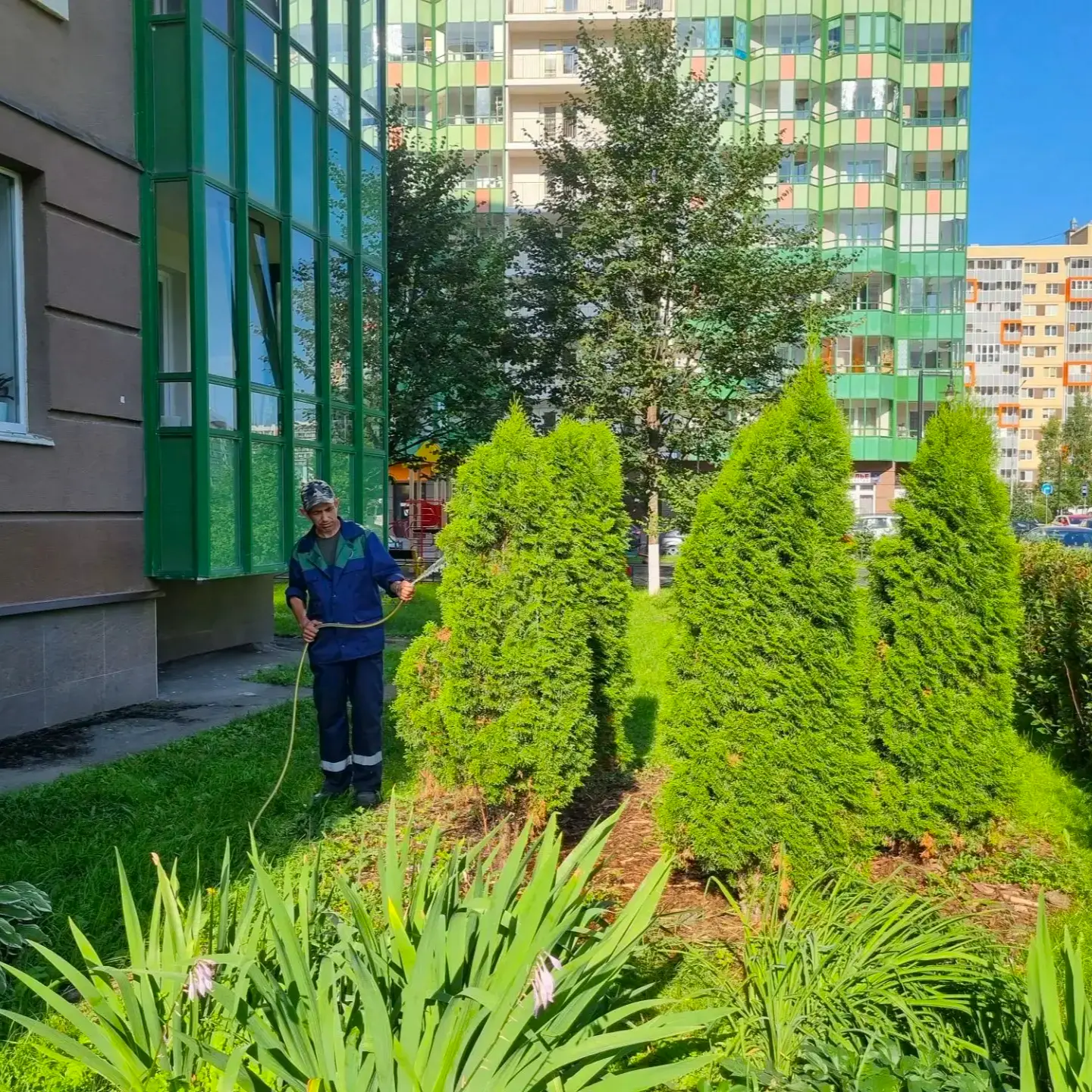 Создаём уют вокруг дома — ухаживаем за придомовой территорией 💚