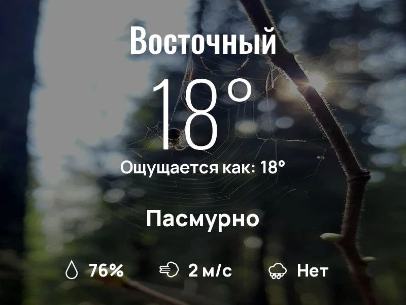 Что с погодой в Восточном?