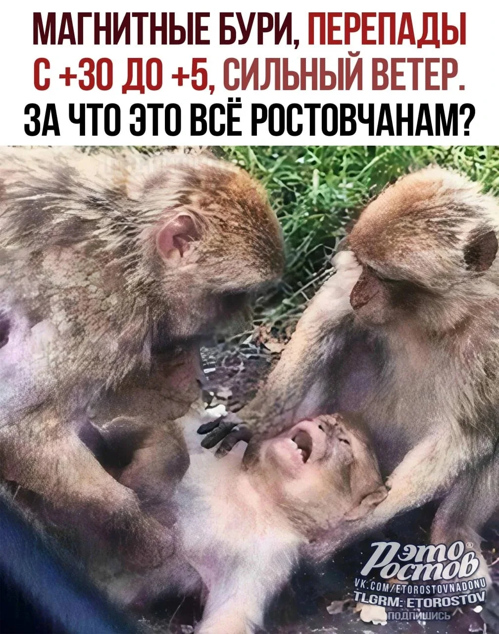😅 Погодка не щадит