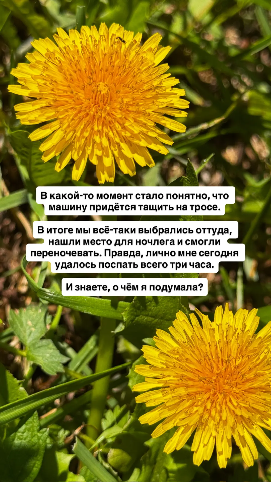 Вот такие дела 🙂 “Увидеть красоту во тьме - становится доступным мне!” 😌