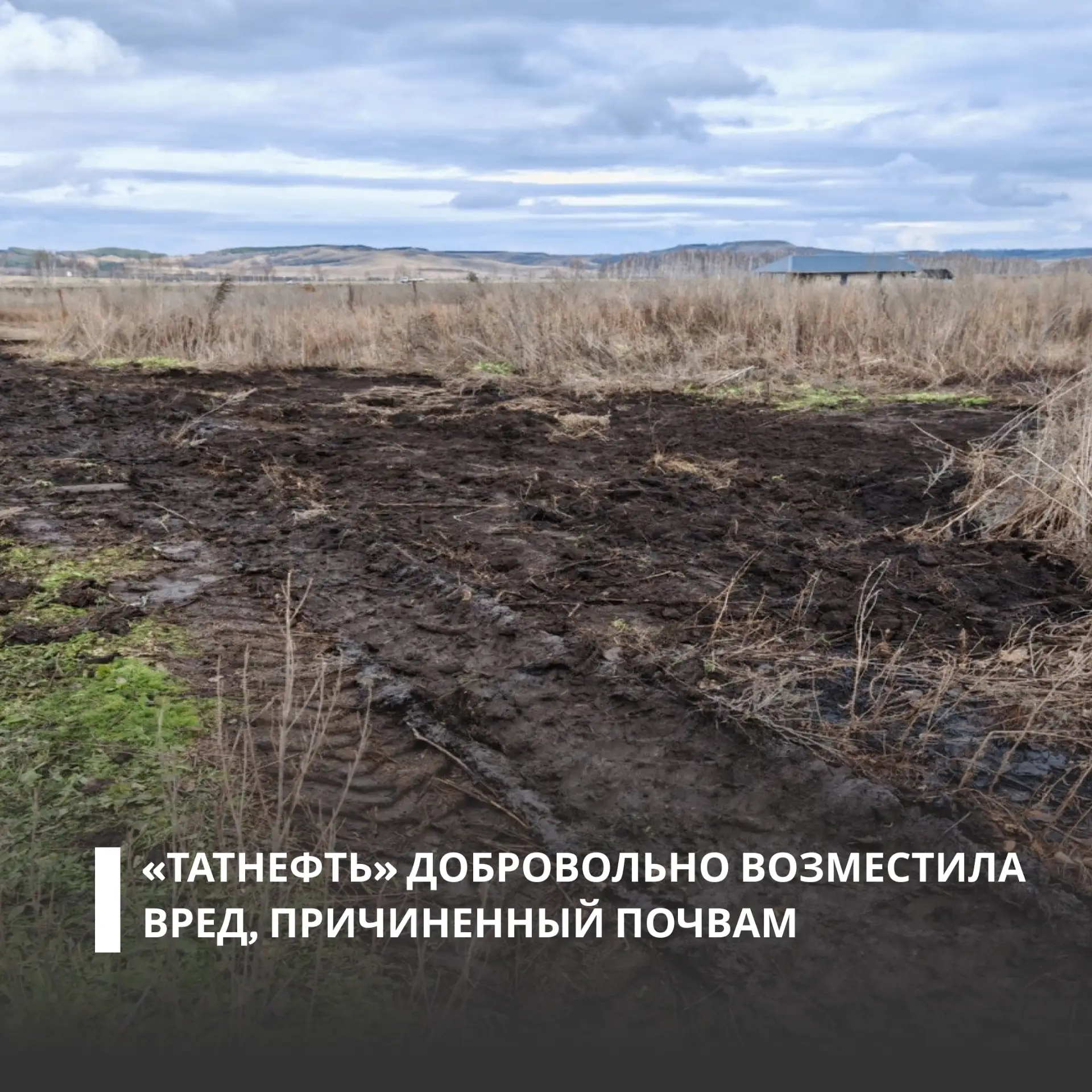 ПАО «Татнефть» имени В.Д. Шашина в добровольном порядке возместило более 6,2 млн рублей за вред, при