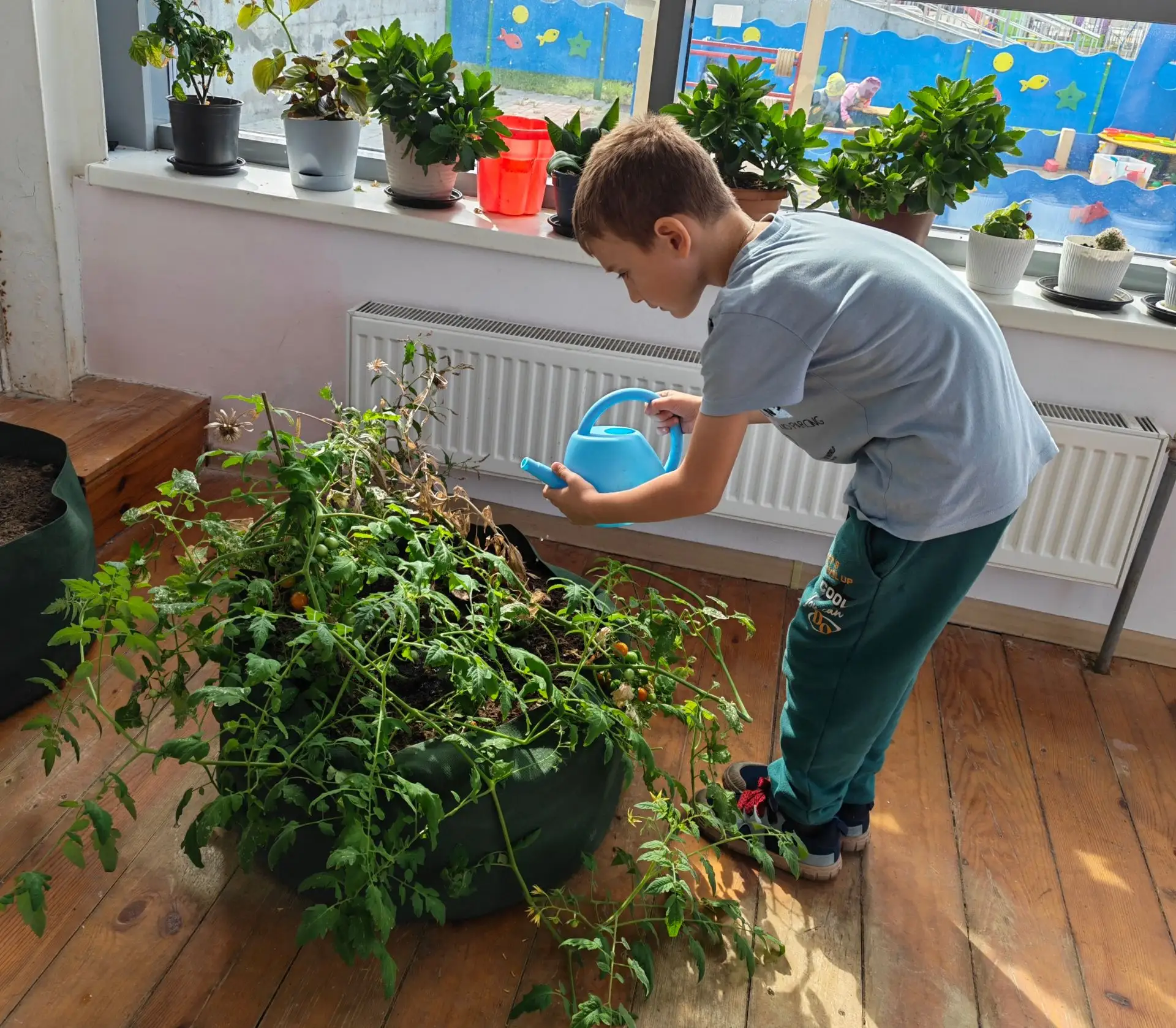 🌱 «Звездочки» — юные эколята!