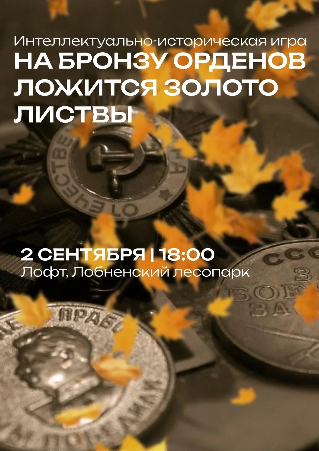 🍂 «На бронзу орденов ложится золото листвы»