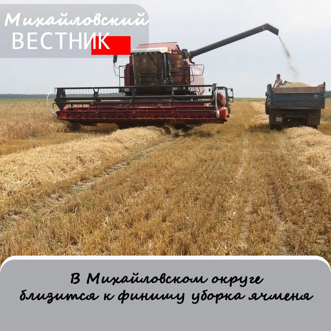 Амурские аграрии трудятся на полях, несмотря на непогоду. К 18 августа Архаринский, Бла...