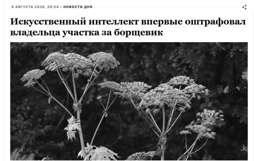 Первый штраф за борщевик с участием ИИ получил россиянин. 

Жителю Подмосковья пришёл штраф на 150 т
