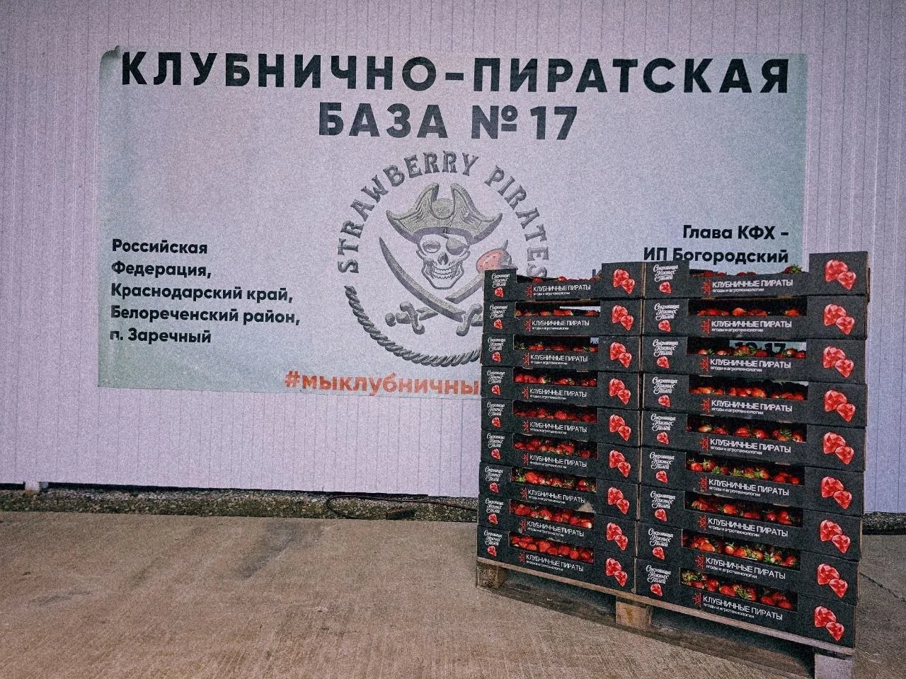 Свежее фото и свежая пресса 👇