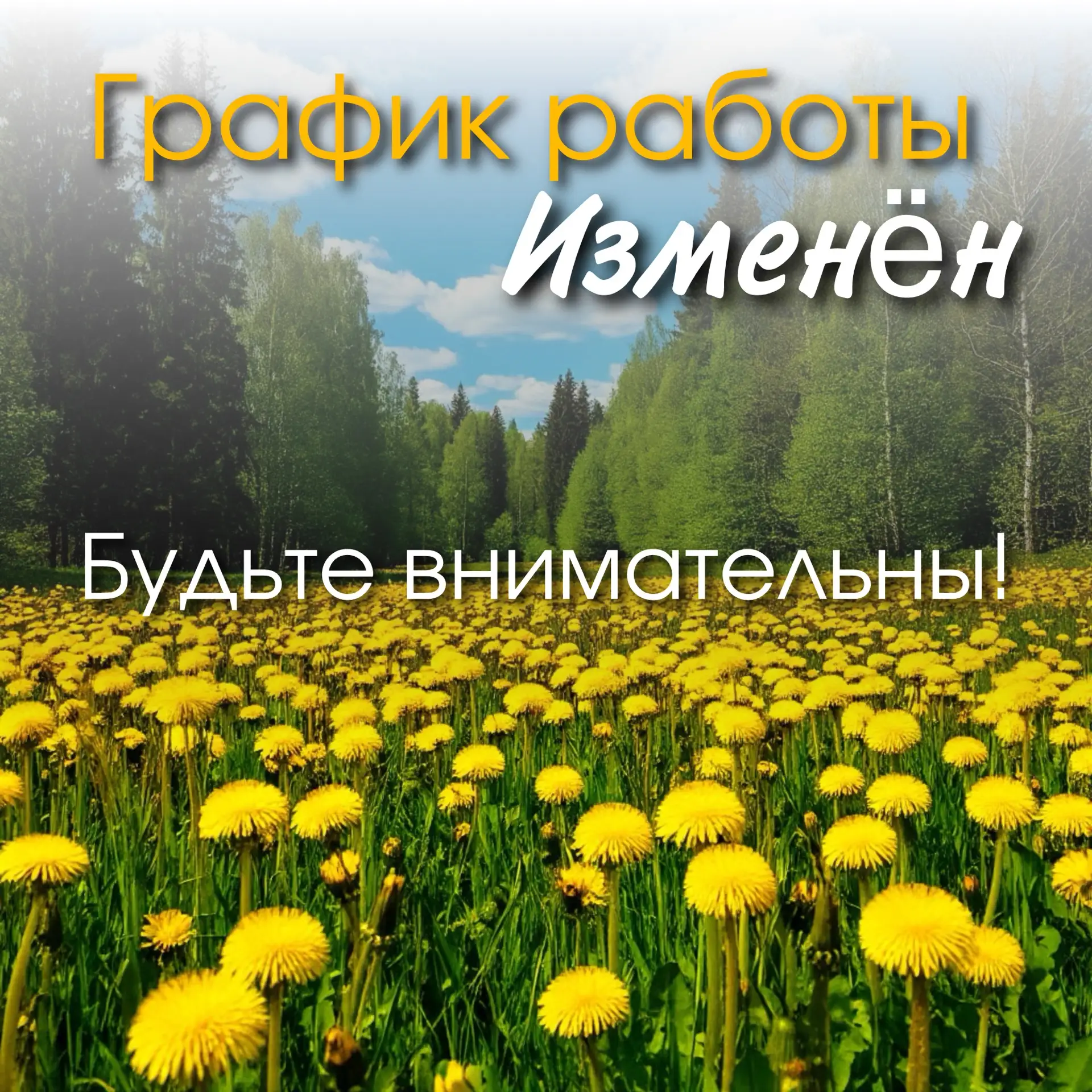 Информация по медицинскому обслуживанию населения в