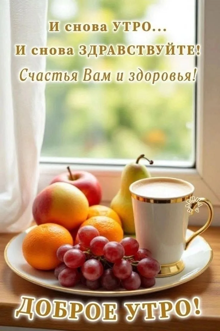 Всем привет, мои дорогие друзья.