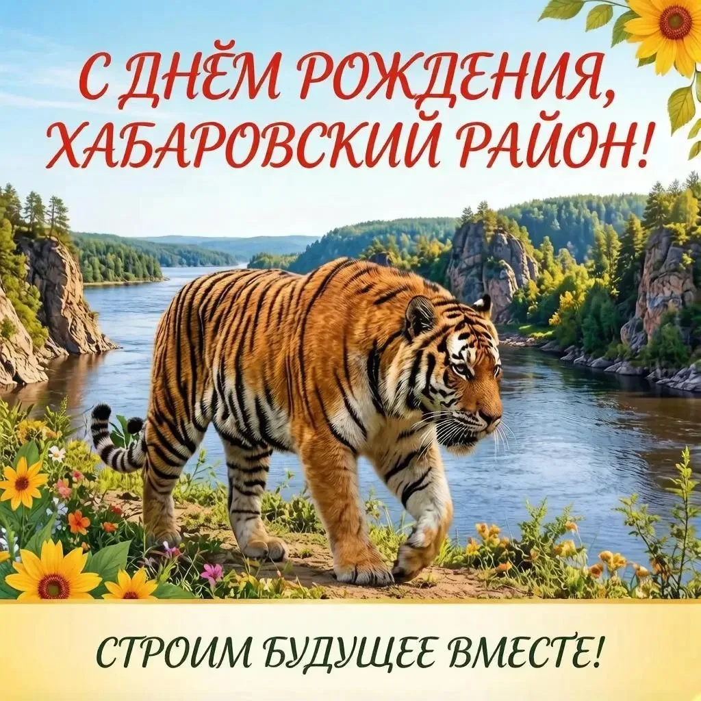 Уважаемые жители Хабаровского муниципального района!