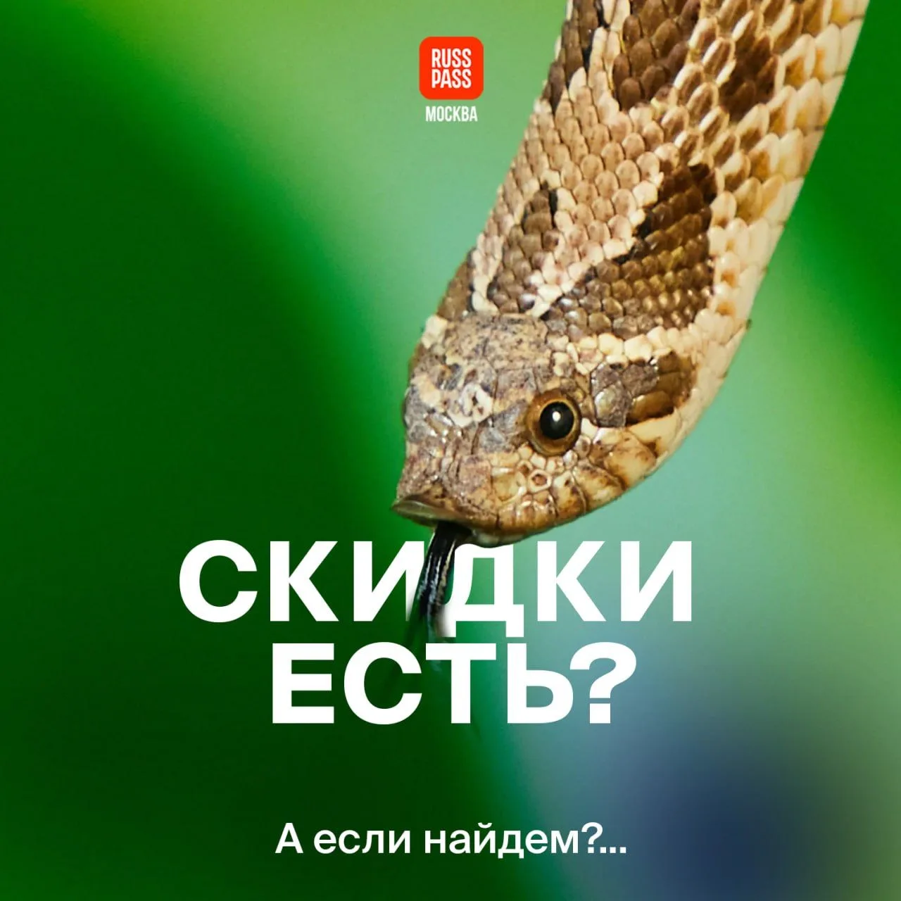 🔍 …найдем, изучим и сделаем подборку в отдельном посте! Пользовались специальным катал...