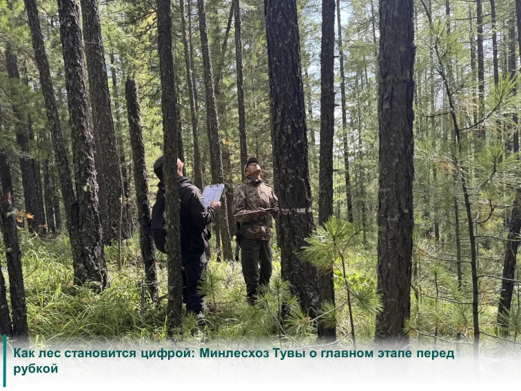 Чтобы выполнить задачи федерального проекта «Сохранение лесов» нацпроекта «Экологическо...