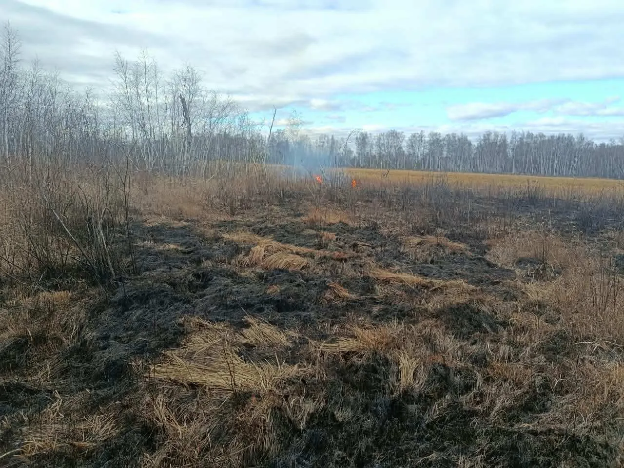 🔥 Усть‑Майский филиал ГАУ «Якутлесресурс» 1 октября полностью выполнил государственное...